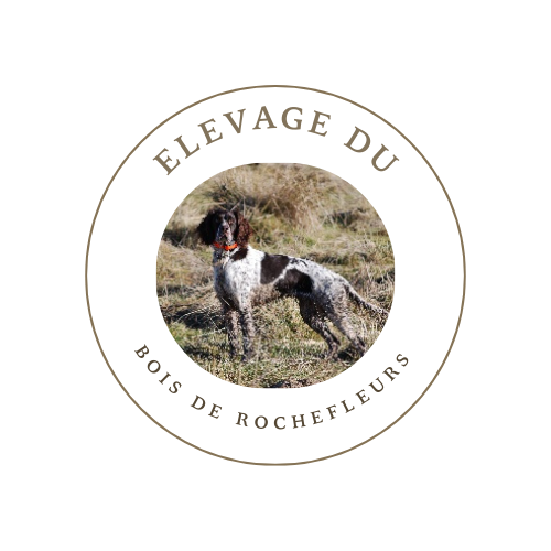 du bois de rochefleurs